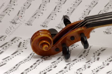 小提琴乐谱图片
