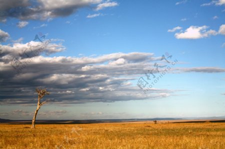 非洲草原风景摄影