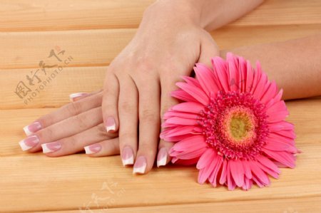 木板上的鲜花与手图片