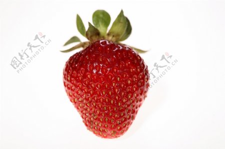 一颗草莓图片