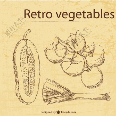 复古蔬菜插图模板