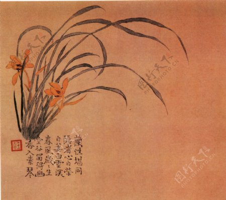 花卉图a花鸟画中国古画0467