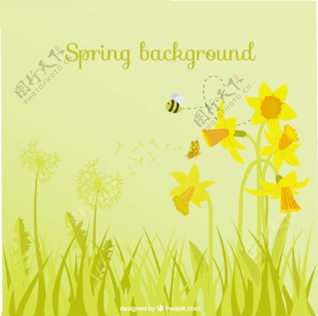 花和蜜蜂春天的背景