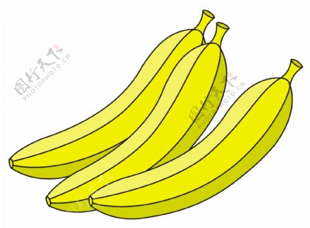 新鲜香蕉矢量插画