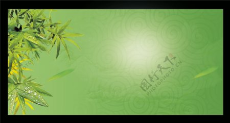 清新唯美绿色竹子背景图