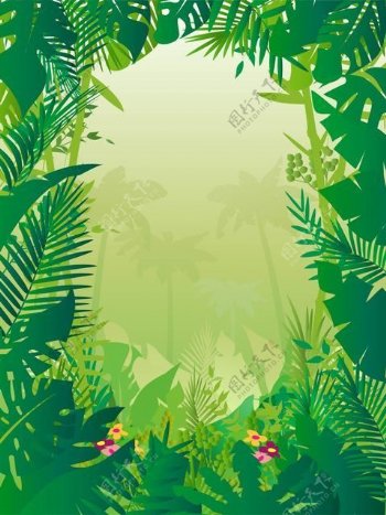 热带框架丛林背景
