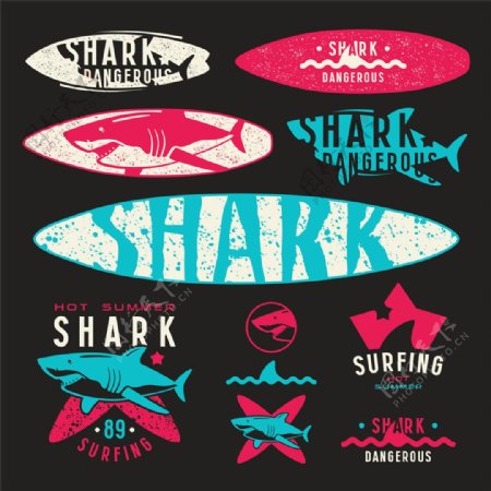 鲨鱼标签图片