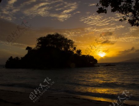 夕陽背光風景