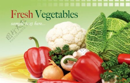 新鲜蔬菜PSD素材