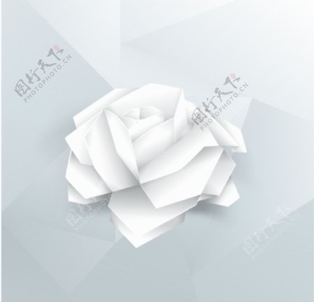 立体白色玫瑰花背景
