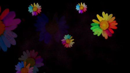 抽象花瓣视频背景