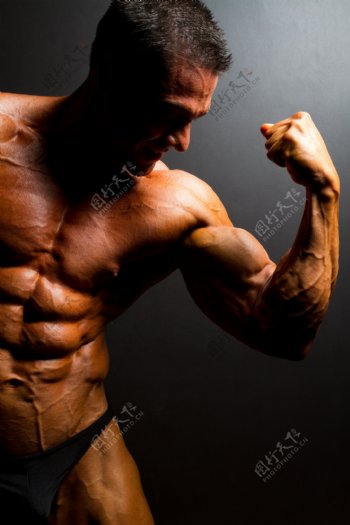 健美运动员强壮的手臂图片