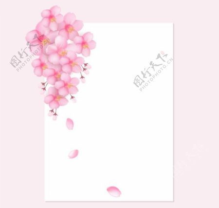 樱花装饰白色纸张矢量素材