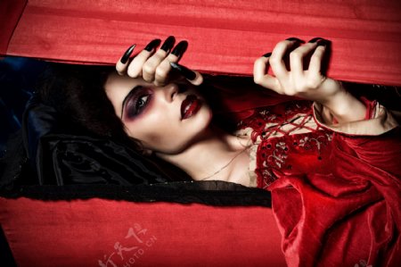 棺材里的女吸血鬼图片