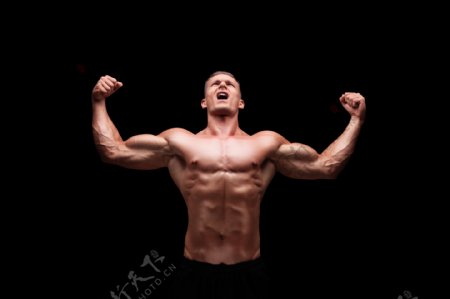 强壮的肌肉男图片