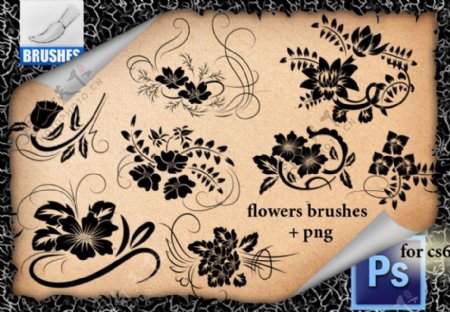 漂亮的手绘鲜花花纹图案Photoshop印花笔刷