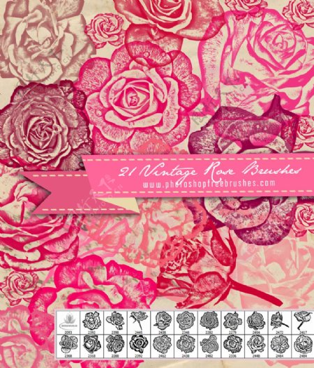 鲜艳的玫瑰花朵玫瑰花纹图案Photoshop笔刷素材