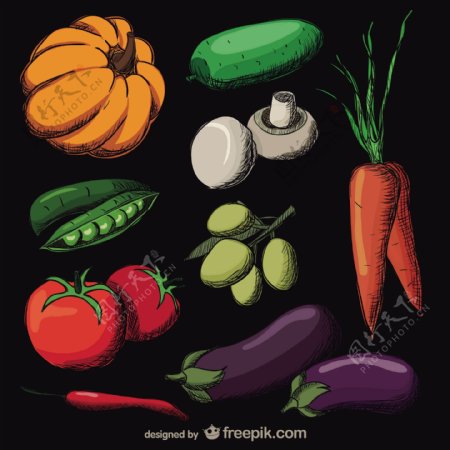 彩色逼真的手绘蔬菜