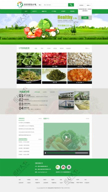 食品经贸长版绿色环保蔬菜网站素材