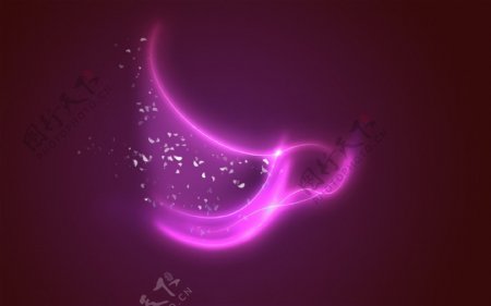 紫色光源飞鸟