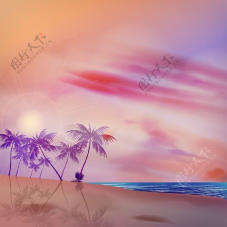 热带背景与紫色的手掌