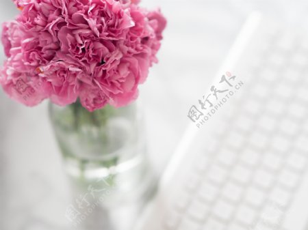 花朵键盘组合简单干净背景