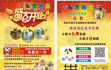 16K宠物店彩页宣传单