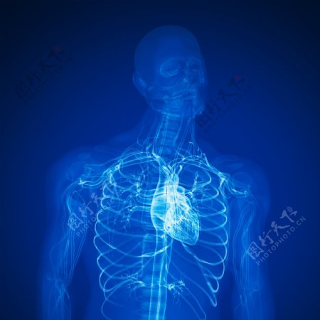 肺部X光透视图图片