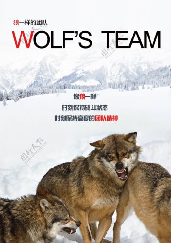 狼性团队宣传海报10