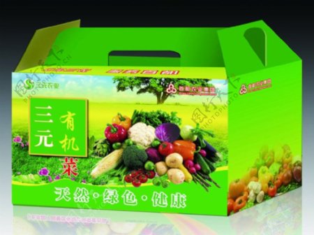 蔬菜包装盒蔬菜礼品盒