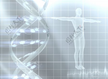DNA双螺旋与人体图片