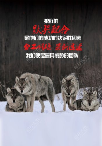 狼性团队宣传海报05