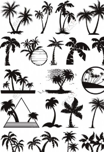 椰子树矢量图