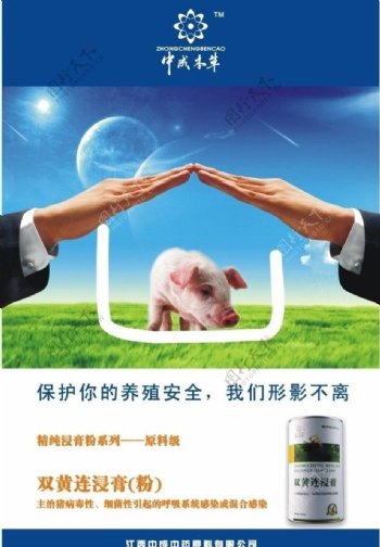 猪养殖产品广告