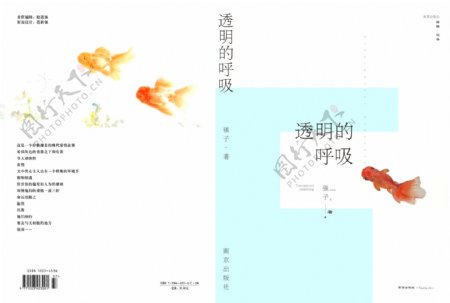 清新版文艺风小说封面设计