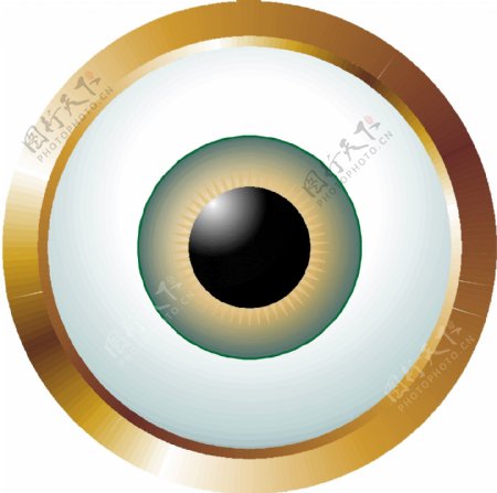 眼睛眼球眼珠矢量素材EPS格式0073