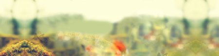 梦幻绿色背景banner