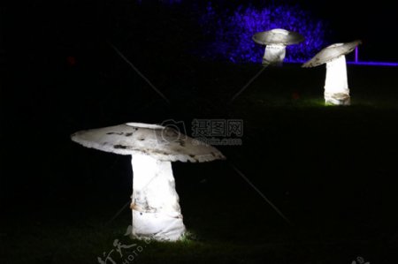 公园中的蘑菇灯