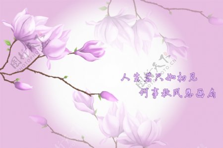 手绘花卉风景插画