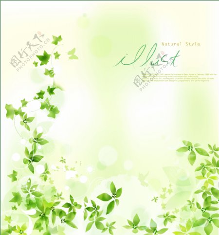 淡雅绿色树叶背景图片