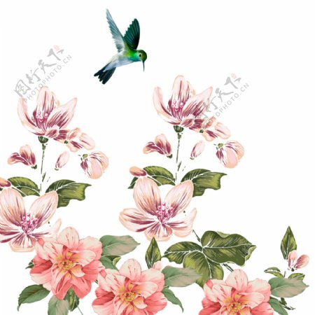 手绘花朵小鸟插图