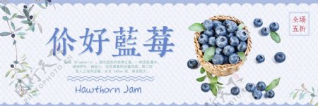 蓝色小清新蓝莓水果美食电商banner淘宝海报