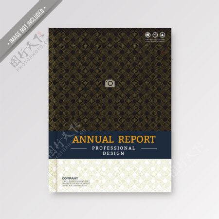 年度报告封面