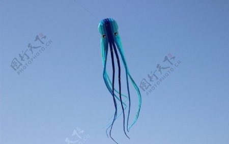 15米蓝精灵章鱼实飞