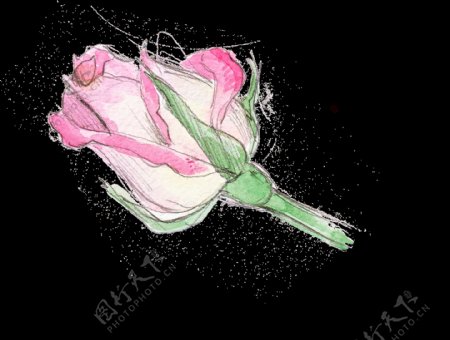彩绘唯美单枝玫瑰装饰图案