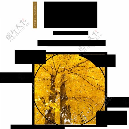 黄色树林立秋素材