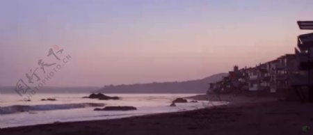 夕阳下的海滩椰树标清实拍视频素材