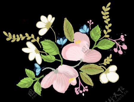 可爱装饰花卉卡通透明素材