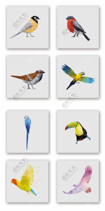 彩色几何鸟类装饰图案