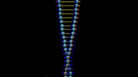 DNA基因链旋转变换视频素材